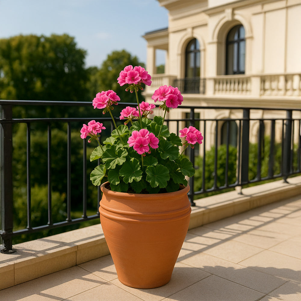 Straight Rim Wide Mouth Decorative Terracotta Planter
