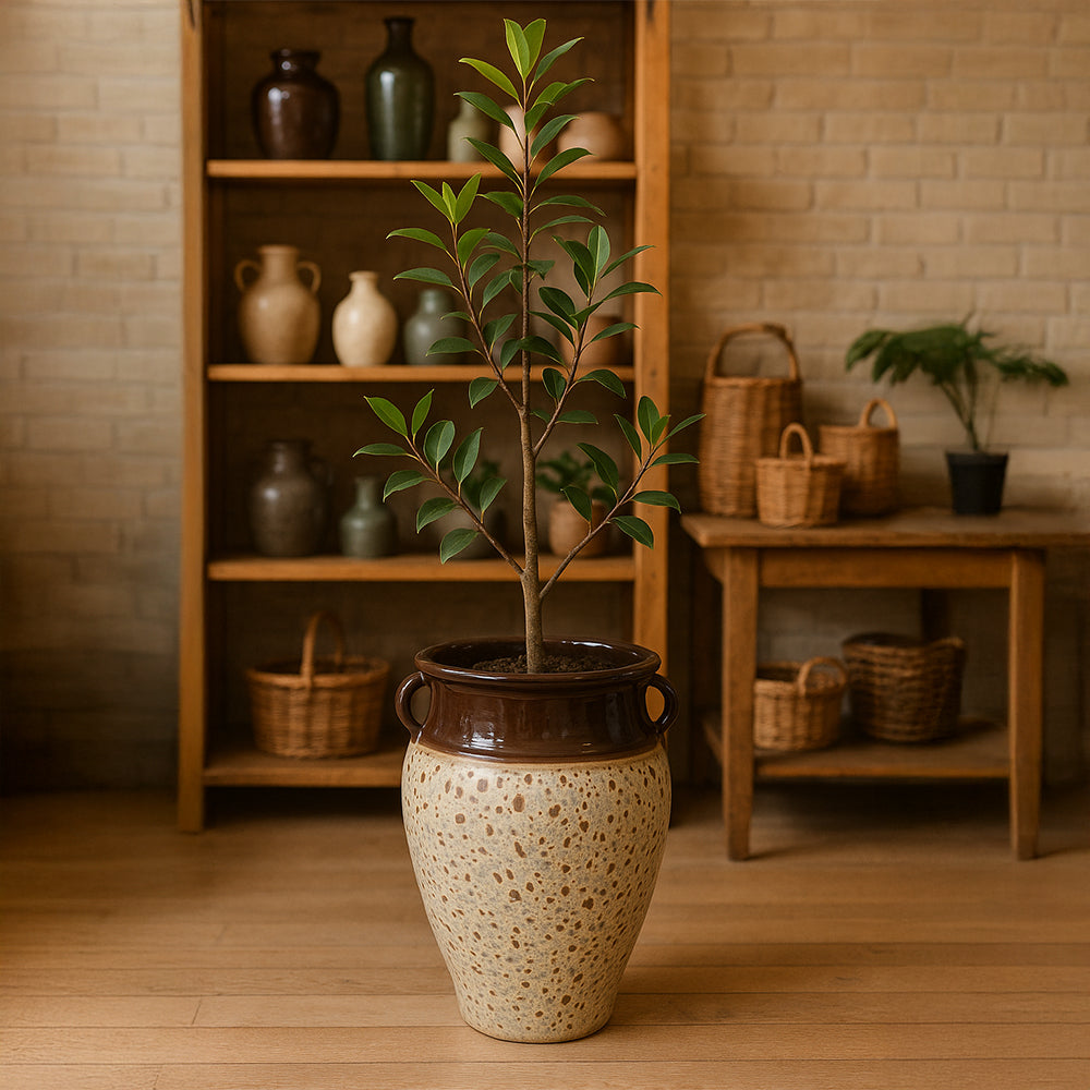 Speckled Cream Brown Decorative Ceramic Planter