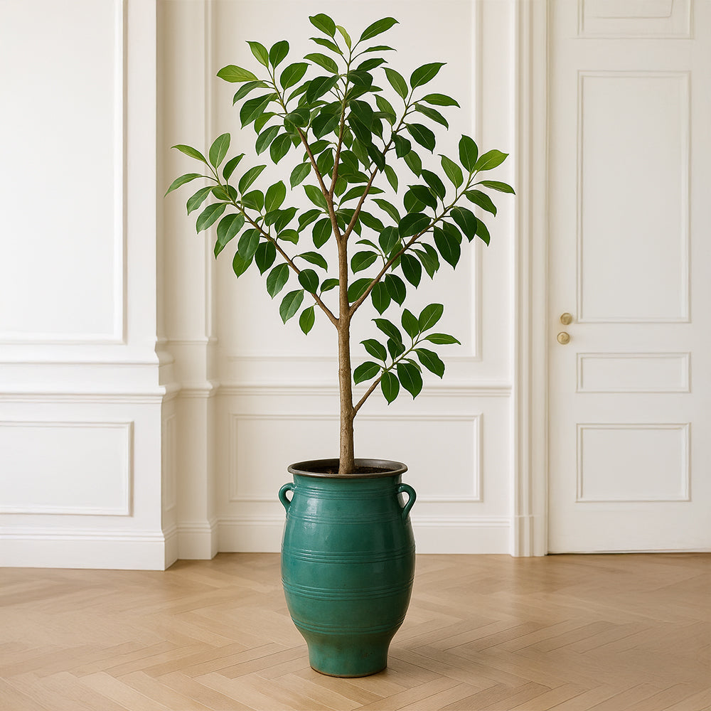 Emerald Barrel Decorative Ceramic Planter