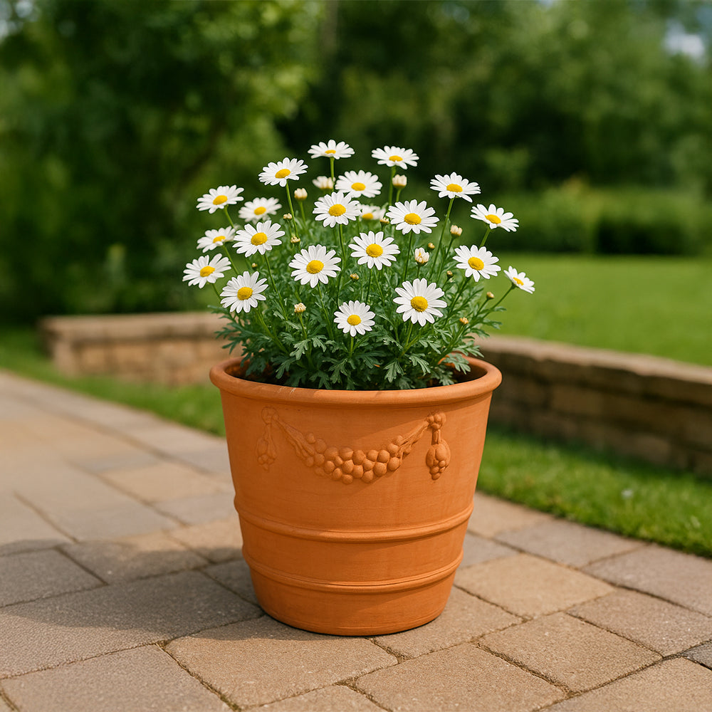 Grapevine Rimmed Decorative Terracotta Planter