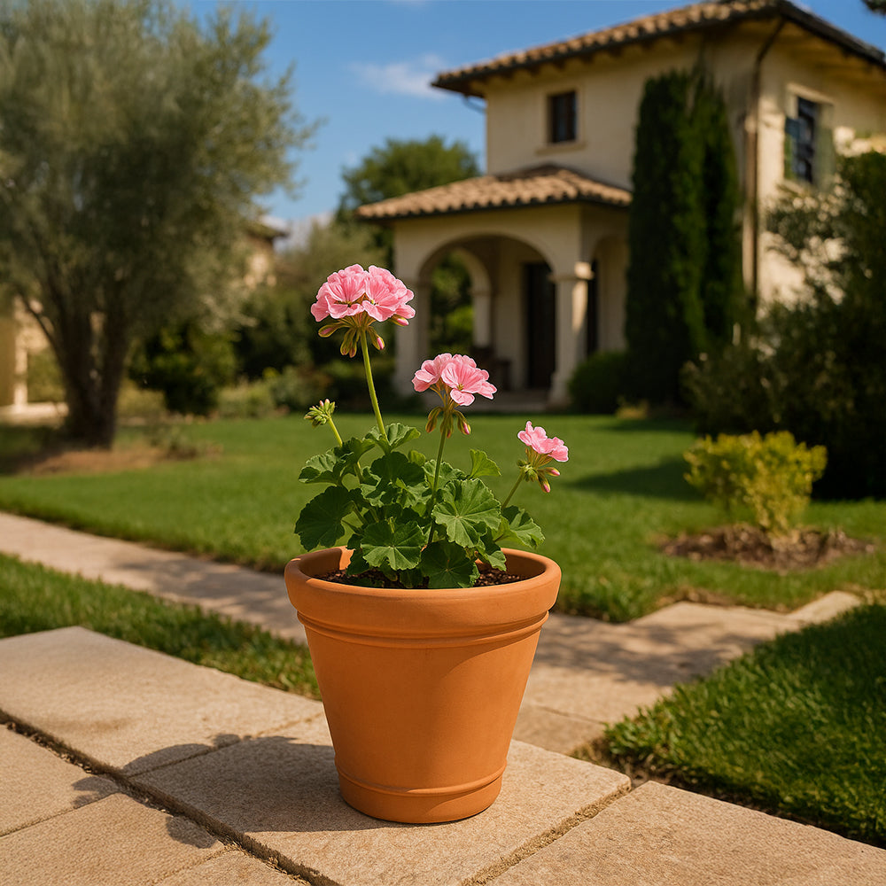 Verona Decorative Terracotta Planter