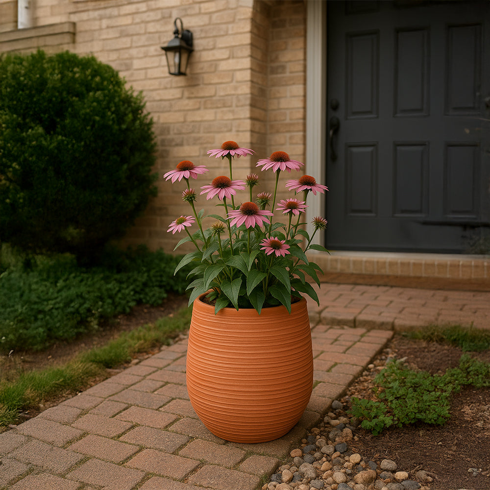 Ribbed Barrel Terracotta Decorative Planter
