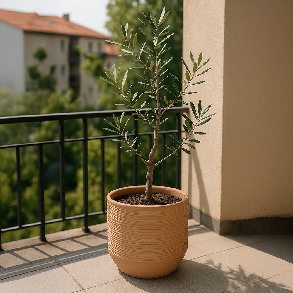 Sandstone Ribbed Low Decorative Terracotta Planter