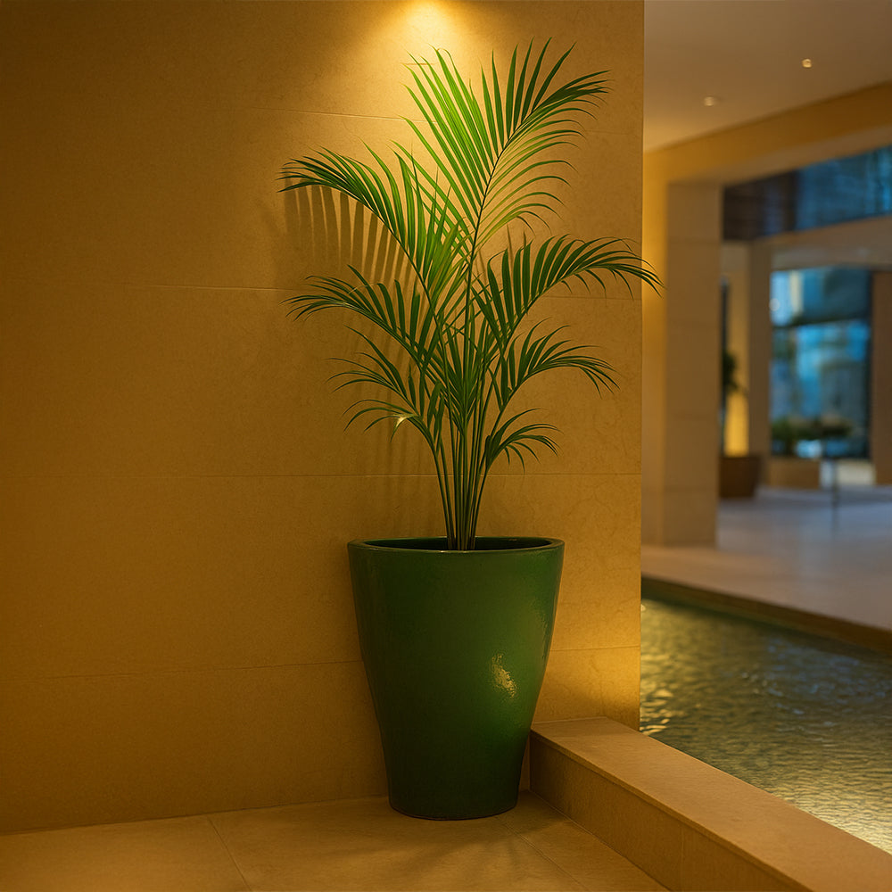 Green Contemporary Ceramic Decorative Planter