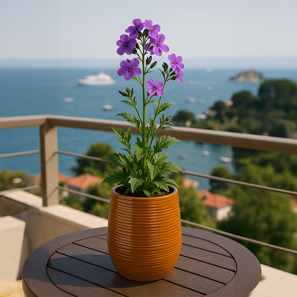 Amber Line Ceramic Flower Pot