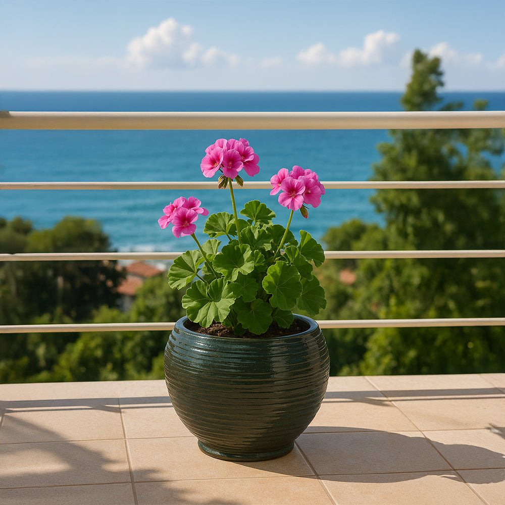 Forest Globe Ceramic Flower Pot