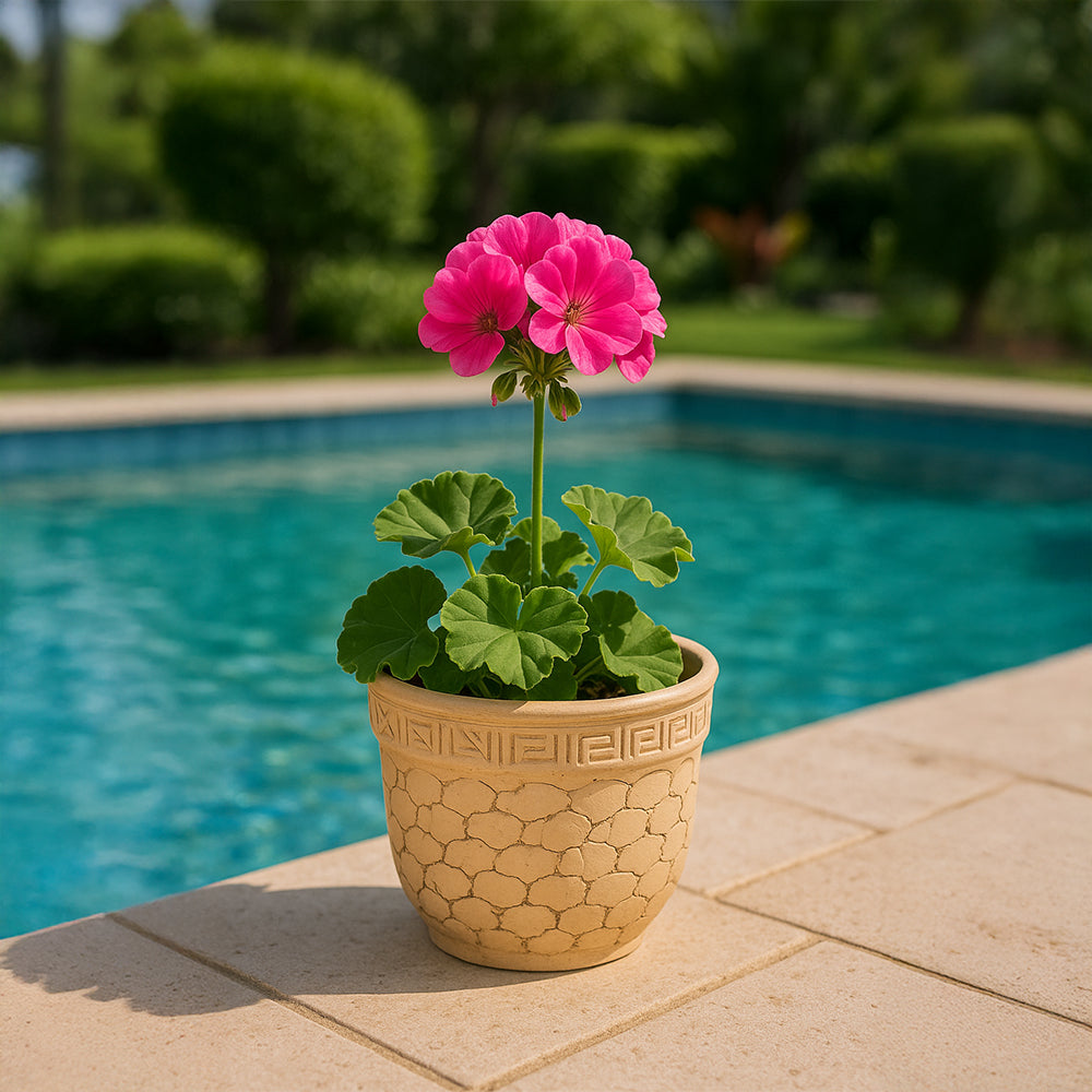 Sandstone Relic Terracotta Flower Pot