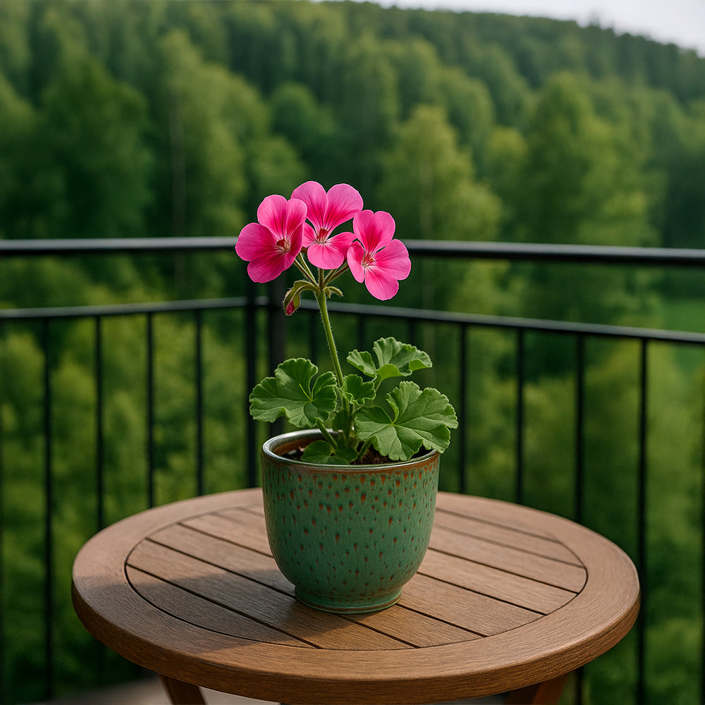 Lava Moss Ceramic Flower Pot