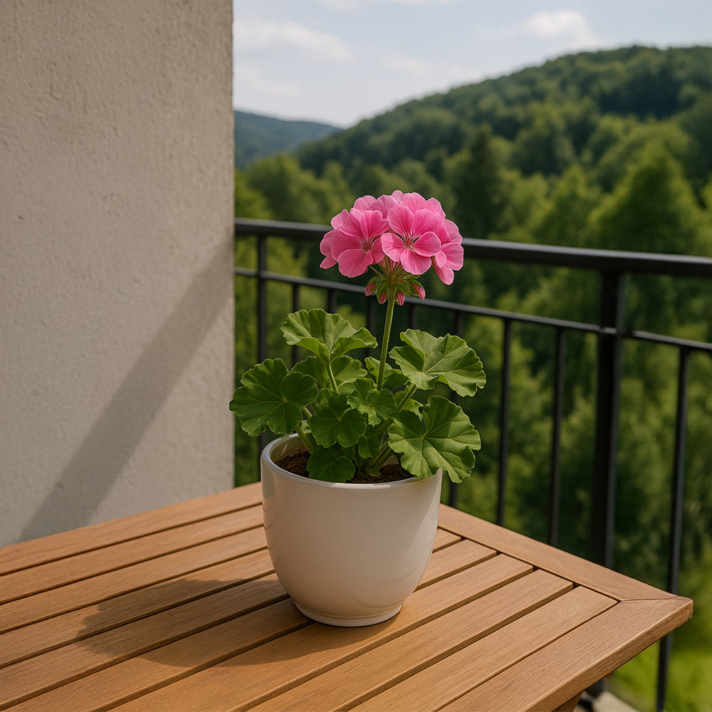 Ivory White Ceramic Flower Pot