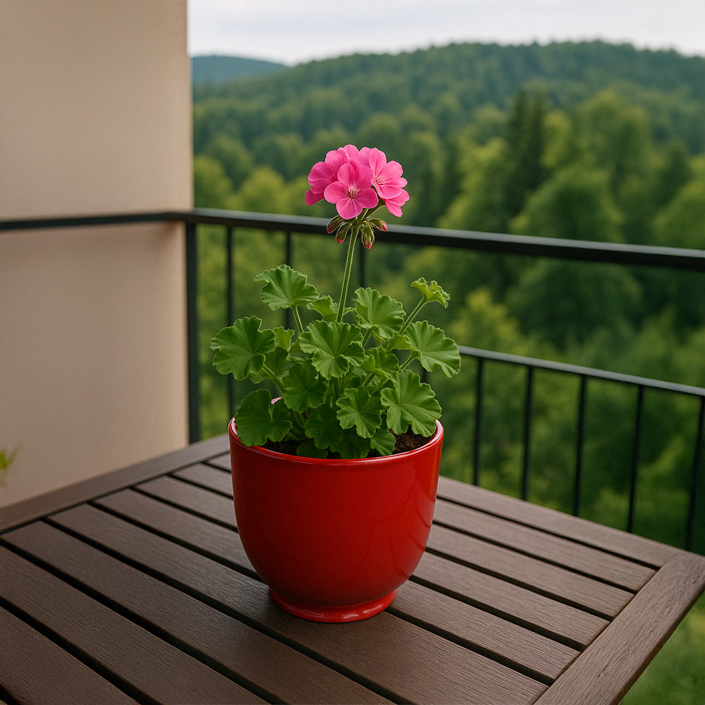 Ruby Red Ceramic Flower Pot