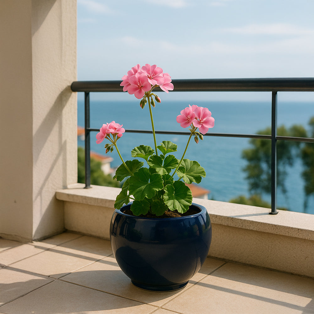 Navy Round Ceramic Flower Pot