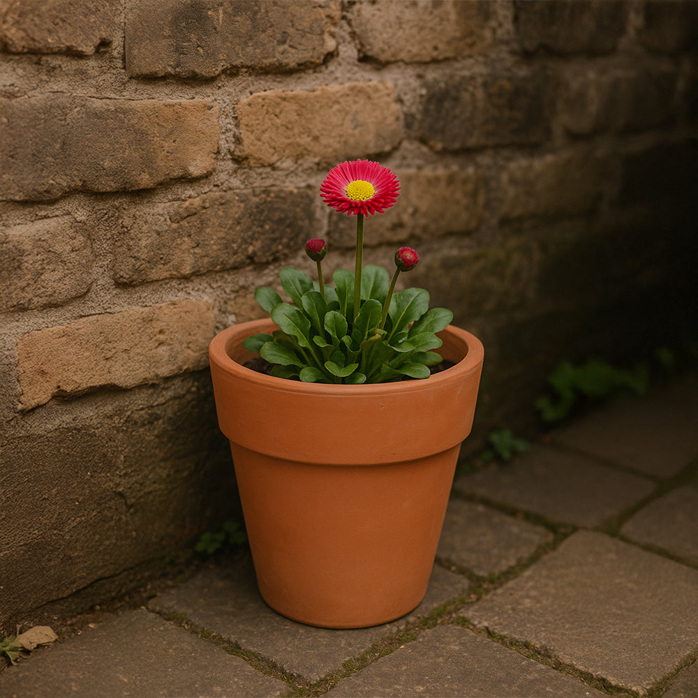 Natural Cone Terracotta Flower Pot