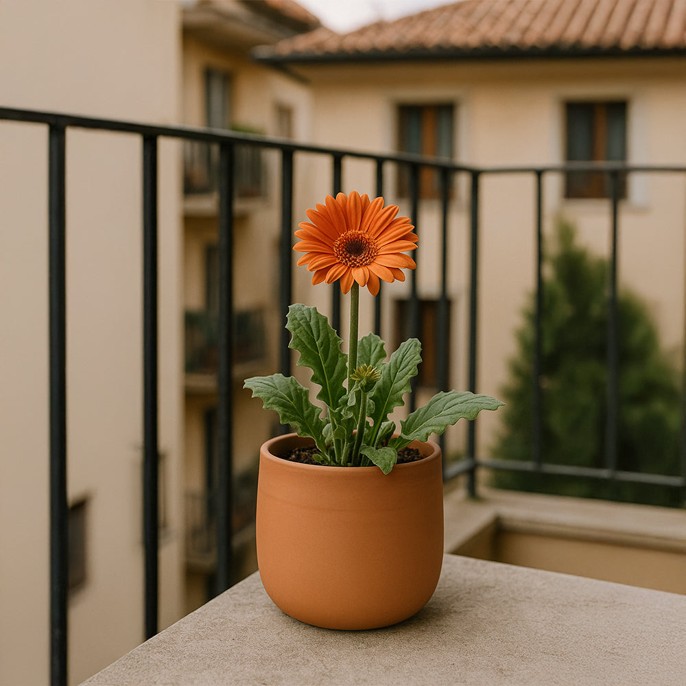 Natural Round Terracotta Flower Pot