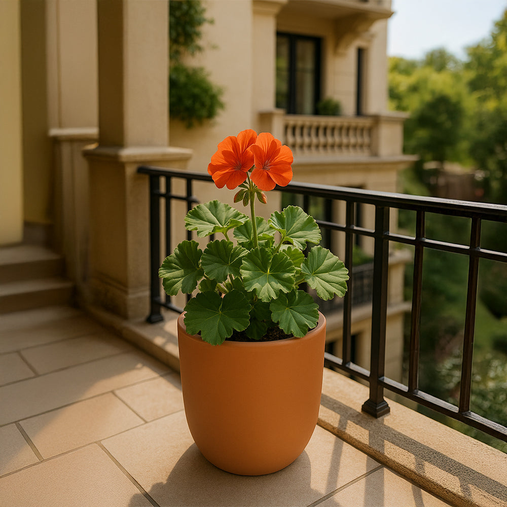 Smooth Tall Terracotta Flower Pot