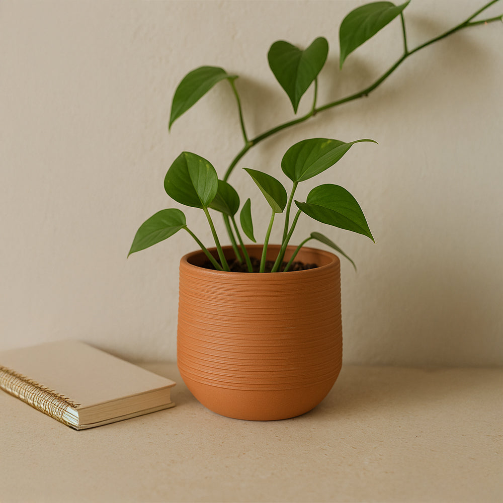 Ribbed Round Terracotta Flower Pot