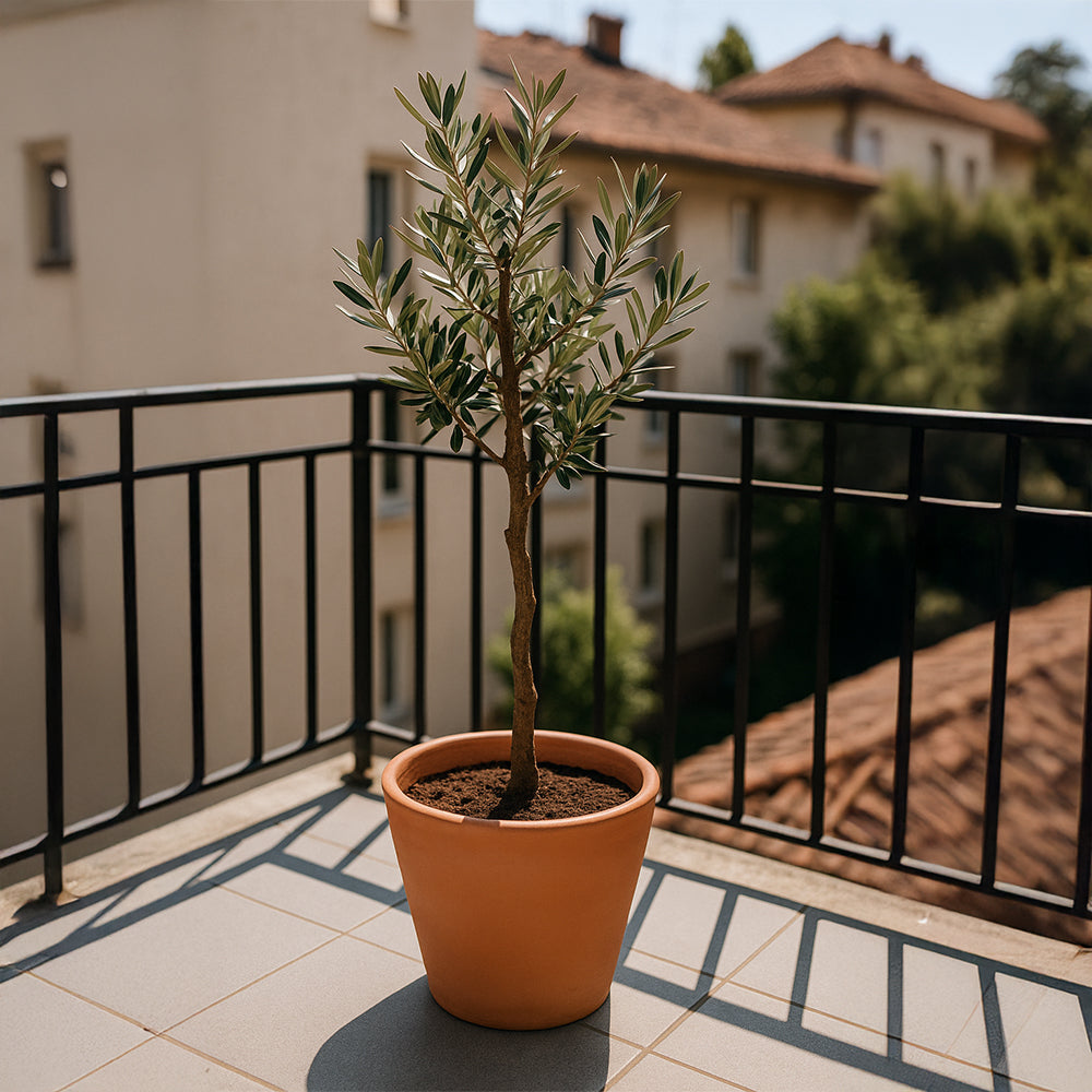 Tapered Round Terracotta Flower Pot