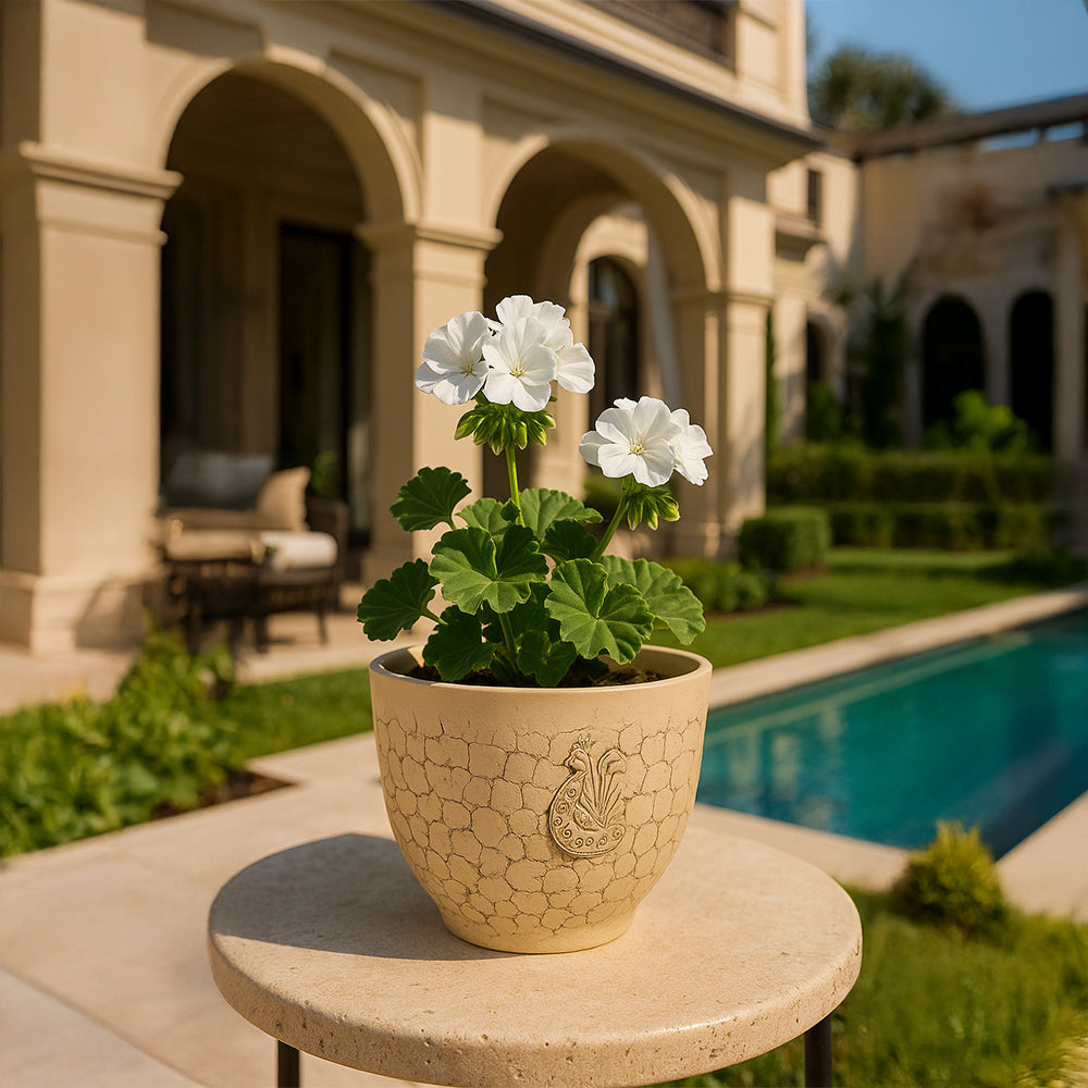 Peacock Cream Textured Terracotta Outdoor Flower Pot