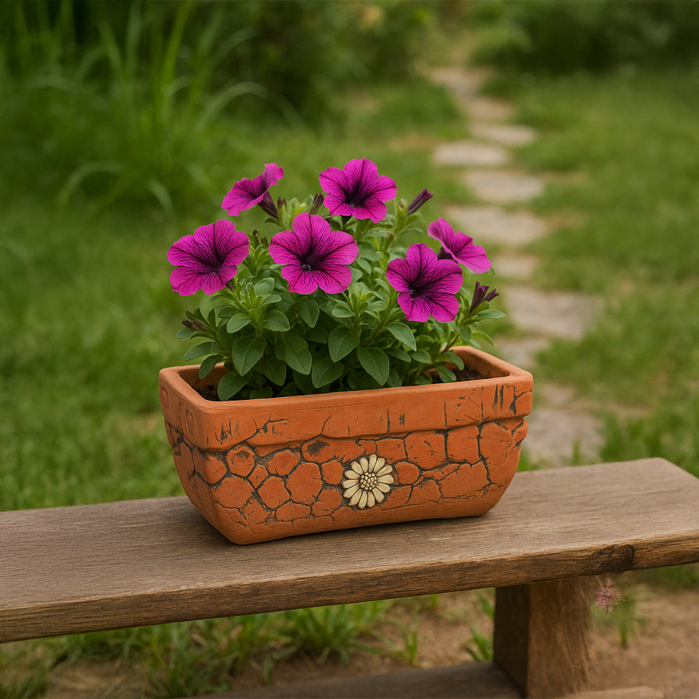 Embossed Daisy Terracotta Outdoor Flower Pot