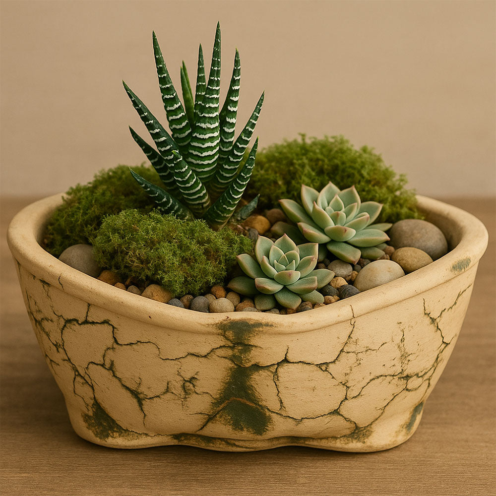 Beige Crackle Terracotta Planter Bowl