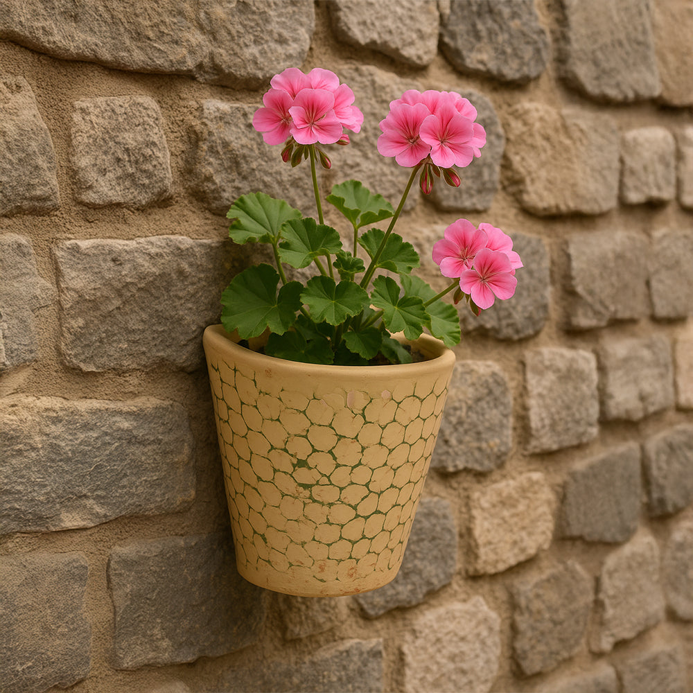 Rustic Wall Terracotta Planter Bowl