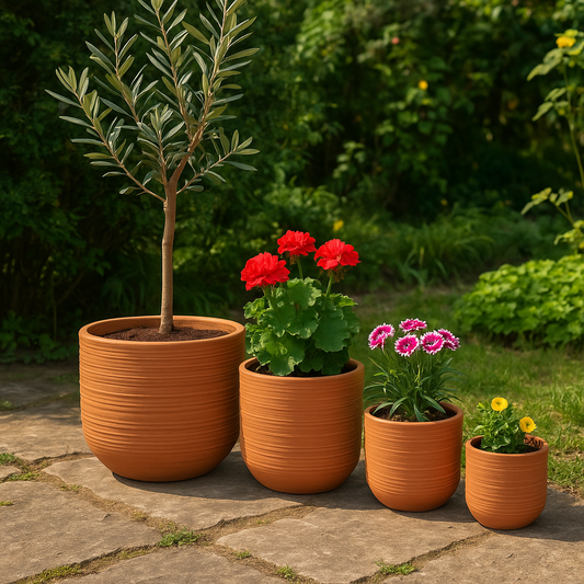 Clayspire Striped Boiler Set